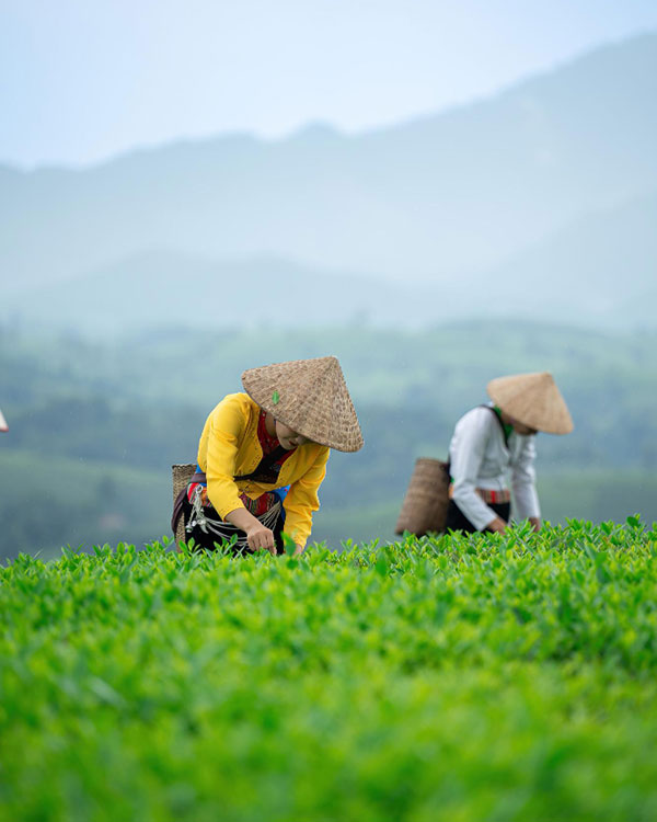 IIGlobal%20 %20Proud%20of%20Vietnamese%20Agricultural%20Products