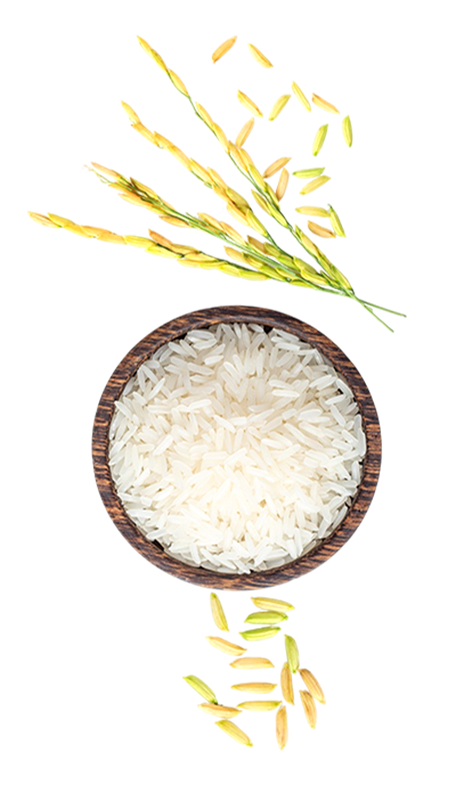 IIGlobal%20 %20Proud%20of%20Vietnamese%20Agricultural%20Products